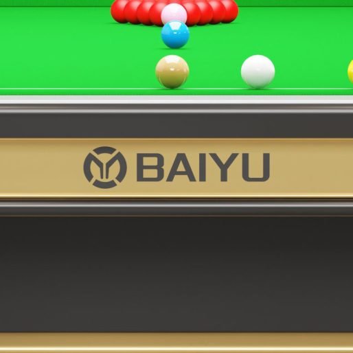 snooker-table-details-logo-custom